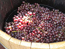 DSCN1915