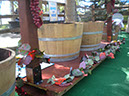 DSCN1899